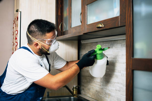 Best Residential Pest Control  in Queens Gate, PA