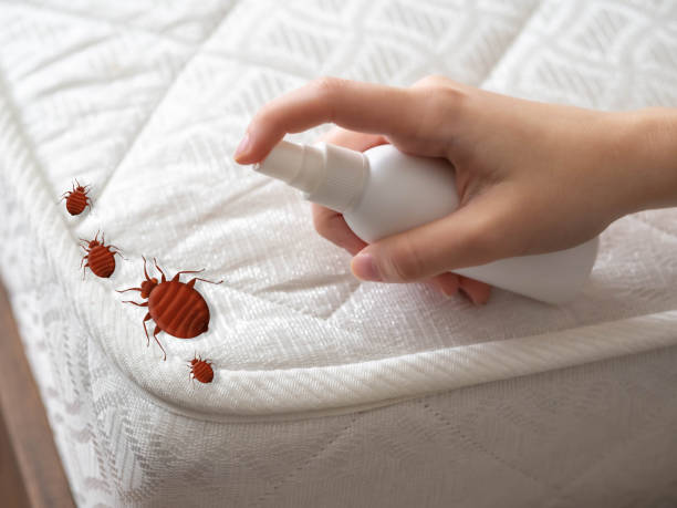 Best Flea Control Services  in Queens Gate, PA