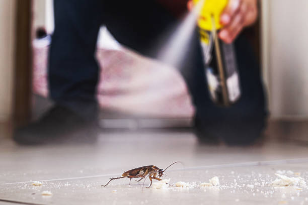 Best Best Pest Control Companies  in Queens Gate, PA